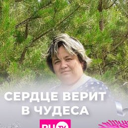 ����, ������������, 44 ����