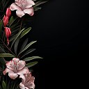 ���� ����, ������, 35 ��� - ��������� 2 ����� 2024 � ������ ���� ����������