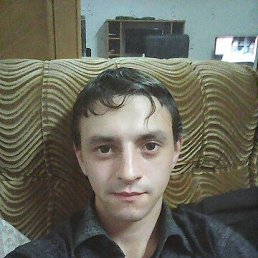 , 31 , 