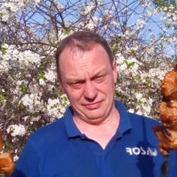 �������, ������, 58 ���