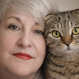 ����, ���������, 62 ����