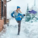 ���� �����, �������, 45 ��� - ��������� 16 ������� 2026 � ������ ������ ��������