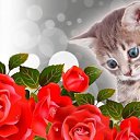 ���� ���������, ������, 35 ��� - ��������� 17 ������� 2026 � ������ ���� ����������