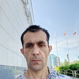 , 50, 