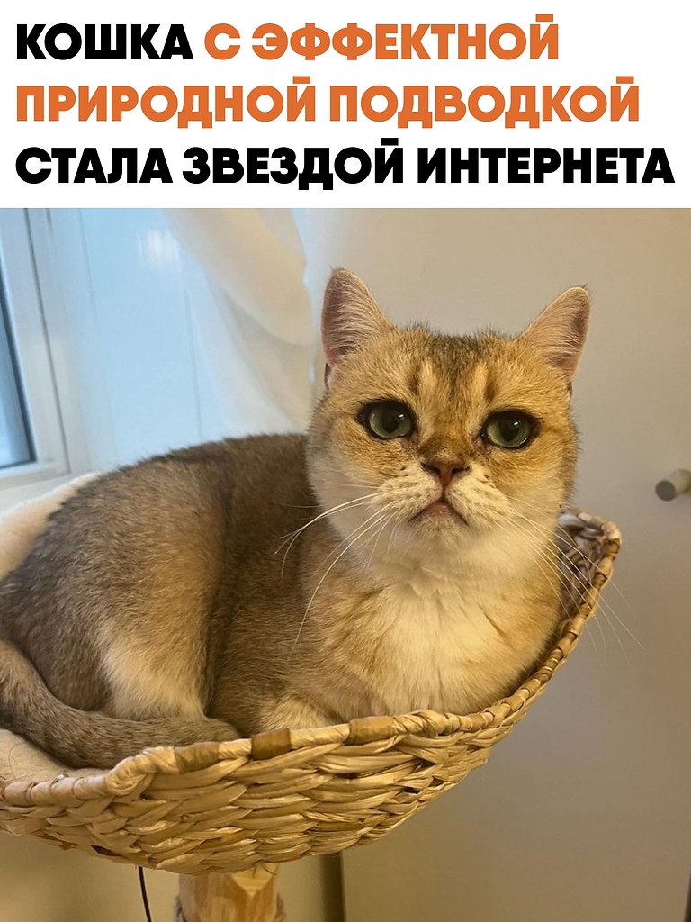 ����� � ��������� ���������� �� ������ �������� ����� ��������. ������� �������� ��������, ��� ...