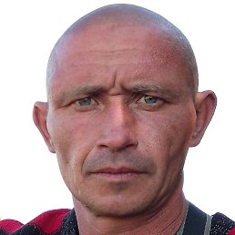 �������, ������, 39 ���