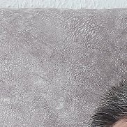 Artur, 54 ����, �������