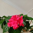 ���� ������, ������ - ��������� 29 ��� 2024 � ������ ���� ����������