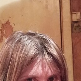 ������, ������, 40 ���