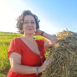 ���� Polina, ���������, 56 ��� - ��������� 4 ����� 2026