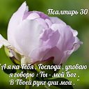 ���� �������, ���� - ��������� 27 ����� 2026 � ������ ������ ��������