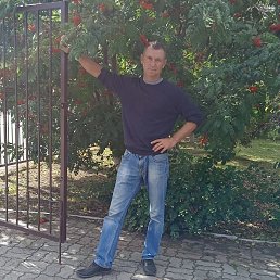 , 46 , 