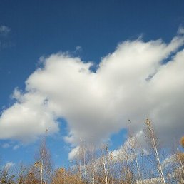 ����, ������, 39 ���