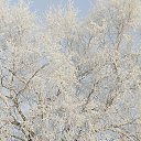 ���� �������, ��������� - ��������� 10 ������� 2025 � ������ ���� ����������