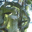 ���� ����, �����-��������� - ��������� 10 ������� 2024 � ������ ���� ����������