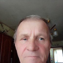 , 65,  