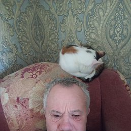 ����, 53 ����, �����