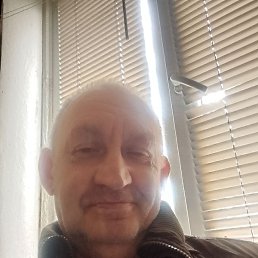 ��������, ����, 55 ���