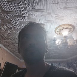 , 37, 