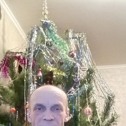 ���� �������, ����, 55 ��� - ��������� 4 ������ 2026