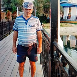 , 65, 