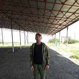 ������, �������, 39 ���