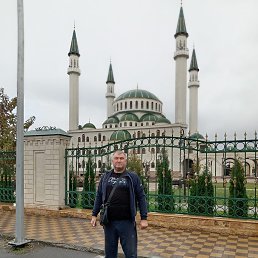 , 50, 