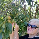 ���� �����, ������-��-����, 63 ���� - ��������� 30 ������� 2025 � ������ ���� ����������