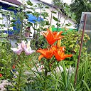 ���� ������, �����-���������, 70 ��� - ��������� 28 ���� 2025 � ������ �����