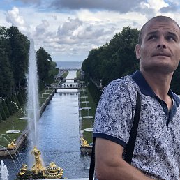 �����, 41 ���, �������