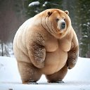 ���� ������, ������ - ��������� 2 ������ 2024 � ������ ���� ����������