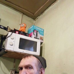, 54 , 