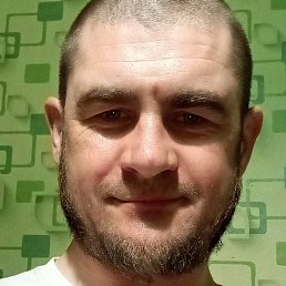 ���������� �������, ������� �����, 41 ���