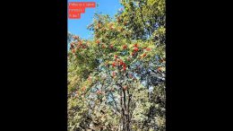 � ���� ���� ������ ����� � �������� �����, � ������ ����� ������ ��� �������� ������ �������. �������, ��� ��������� - ����� �� ���� �������, �������� � ������ ����, ����������� ��� ���������� ����. �...