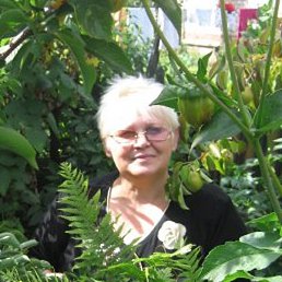 ������, ���������, 66 ���