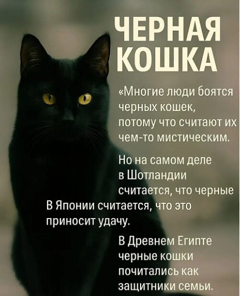 �� ����� ������! - 18 ������ 2025 � 13:01