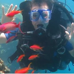 �����, ������, 43 ����