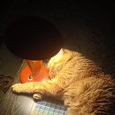 ���� ��������, ���������, 62 ���� - ��������� 26 ������ 2025 � ������ ������ ��������