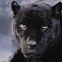 ���� .��������� 3, �����, 48 ��� - ��������� 31 ��� 2026 � ������ ���� ����������