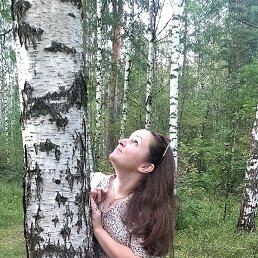 �������, �������, 40 ���