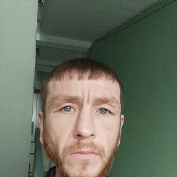 ���� ����, ������, 42 ���� - ��������� 20 ���� 2025