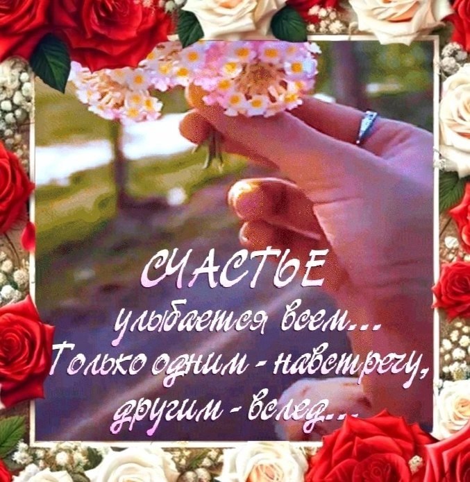  - 9  2024  14:33