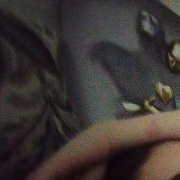 �����, ����, 25 ���