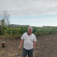 �������, 47 ���, ���������