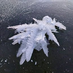 �����, ������, 51 ���