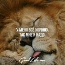 ���� ������, ����� - ��������� 29 ������� 2025 � ������ ���� ����������