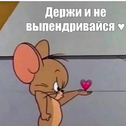 ���� ������, ����, 33 ���� - ��������� 14 ������� 2025