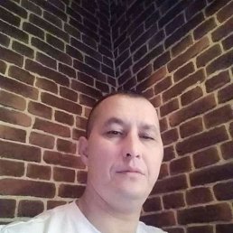 ���� ������, �����, 48 ��� - ��������� 12 ������ 2023