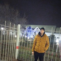 ������, 39 ���, ���������