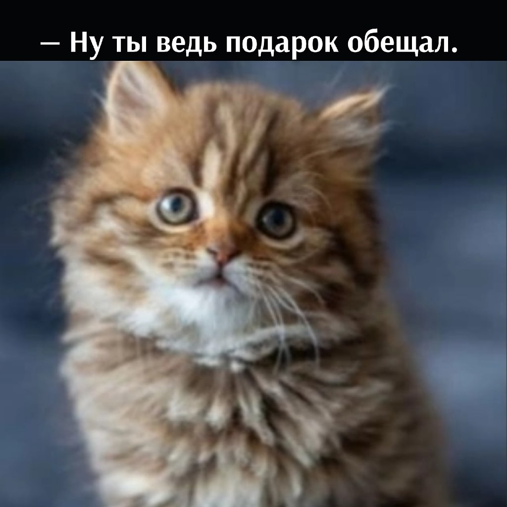 ��� ���� � ����� �� �� - 24 ������� 2026 � 22:00 - 3